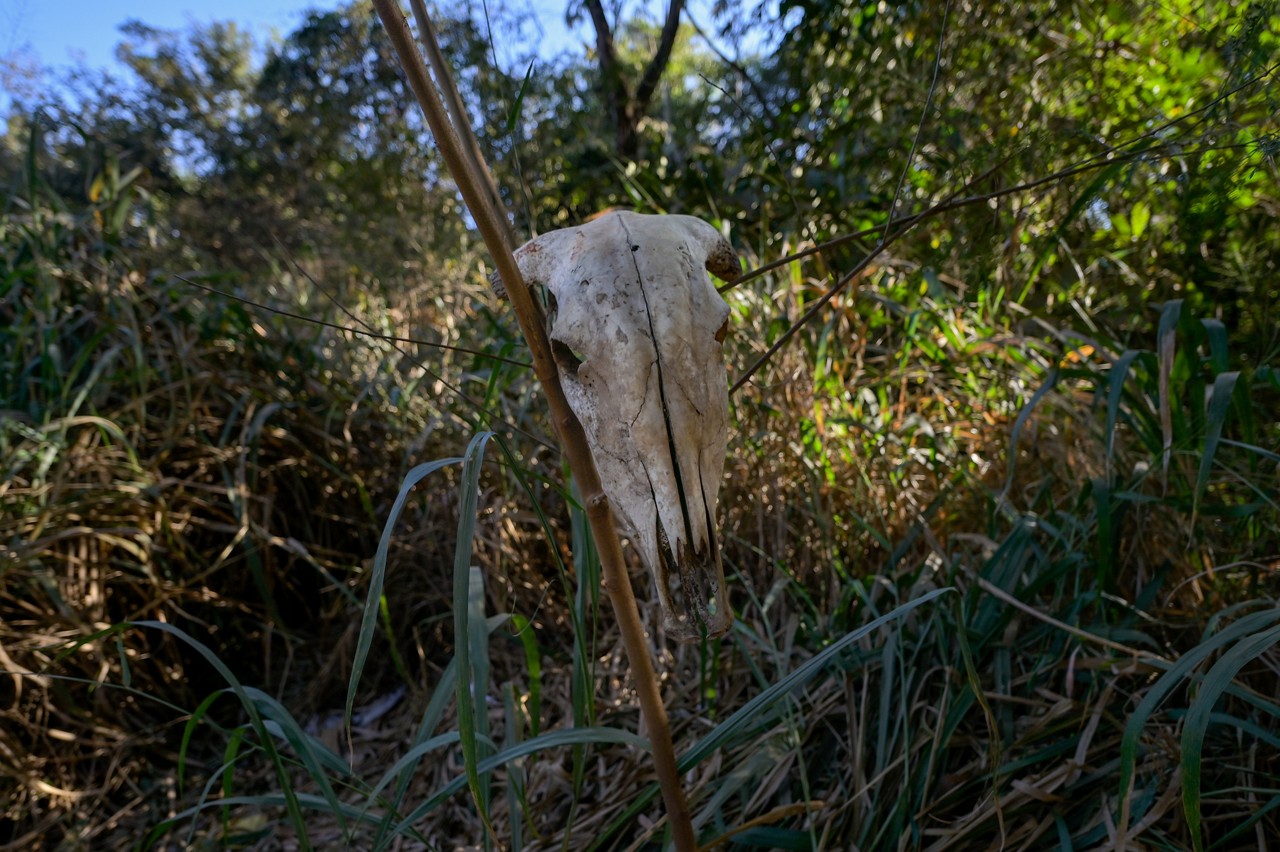 Angueretá