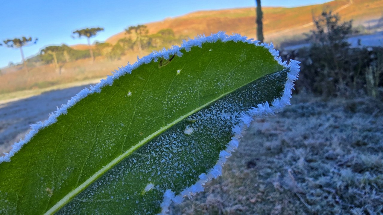 Recorde de temperaturas mínimas em Santa Catarina