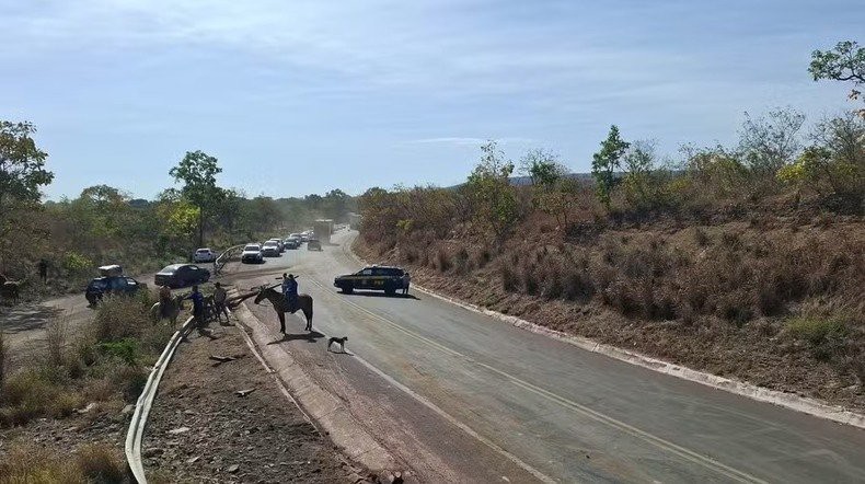 Acidente entre caminhões de gado interdita BR-365; ocorrência segue em andamento