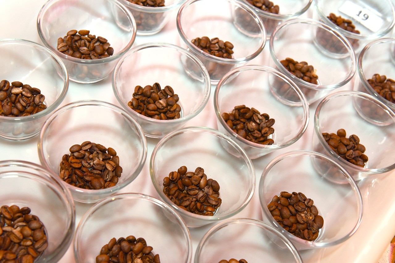 Concurso recebeu quase 2.000 amostras de café