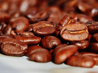 As 180 amostras selecionadas seguem para a fase final, que acontece durante a Semana Internacional do Café