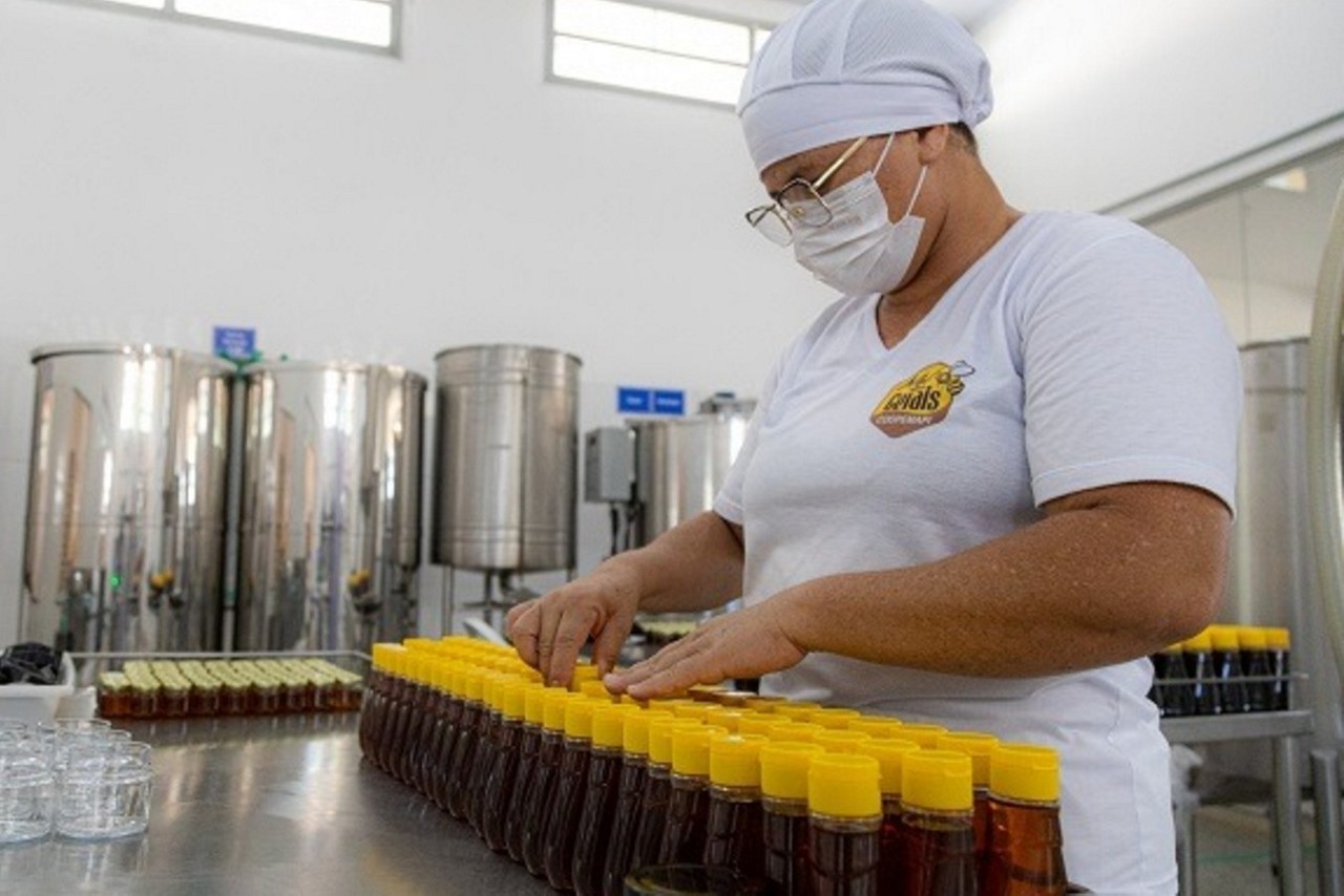 Produção de mel pela Coopemapi no norte de Minas tem apoio da CODEVASF e beneficia cerca de 200 cooperados