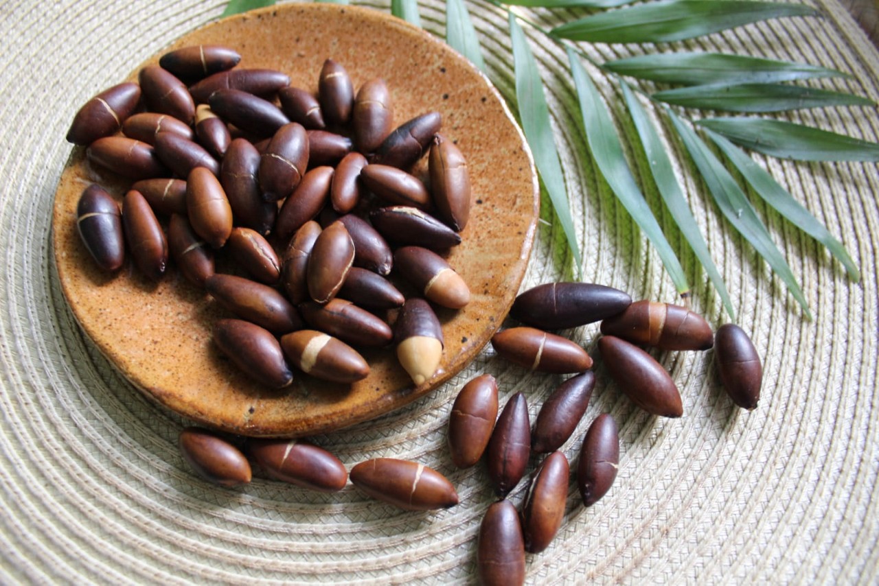 A expectativa é que o “superalimento”, por seu alto teor nutricional e originário do Cerrado, chegue ao mercado europeu em breve