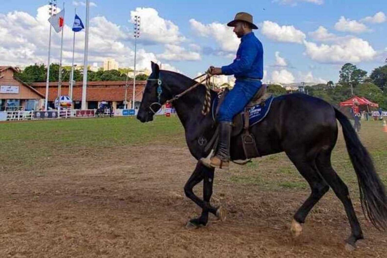 Exposição Herdeiros da Raça vai contar com a presença de vários animais de haras de todo o estado