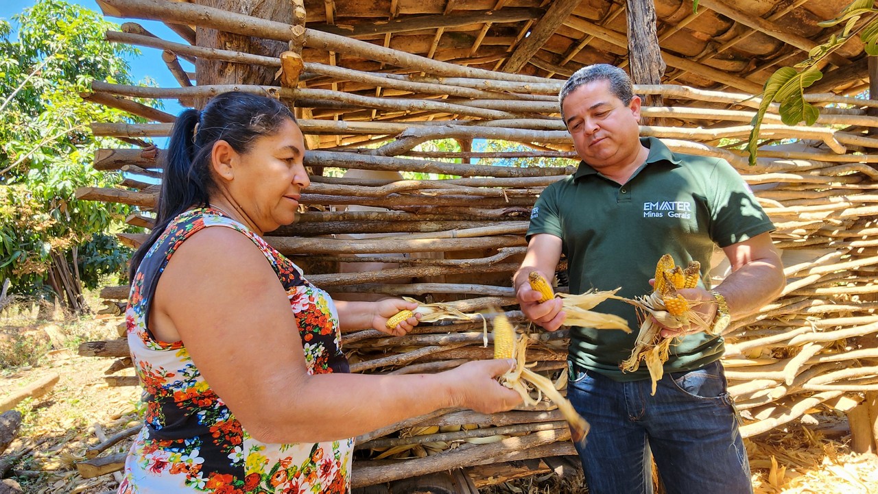 Programa oferece apoio financeiro aos pequenos produtores que sofrerem perdas superiores a 50% na produção, provocadas por seca ou excesso de chuvas