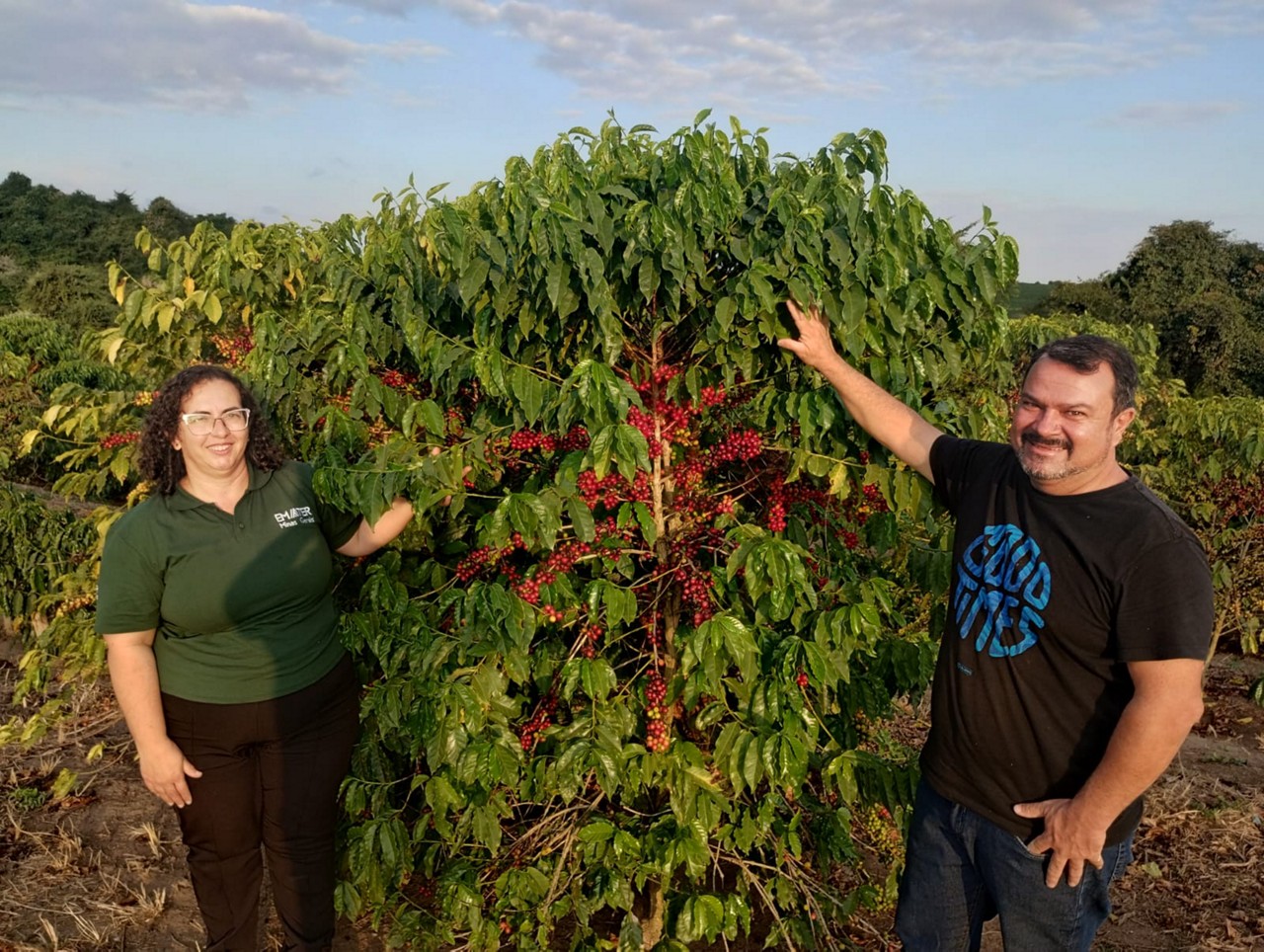 Maior parte da produção de café do Alexandre Cambraia é destinada à exportação