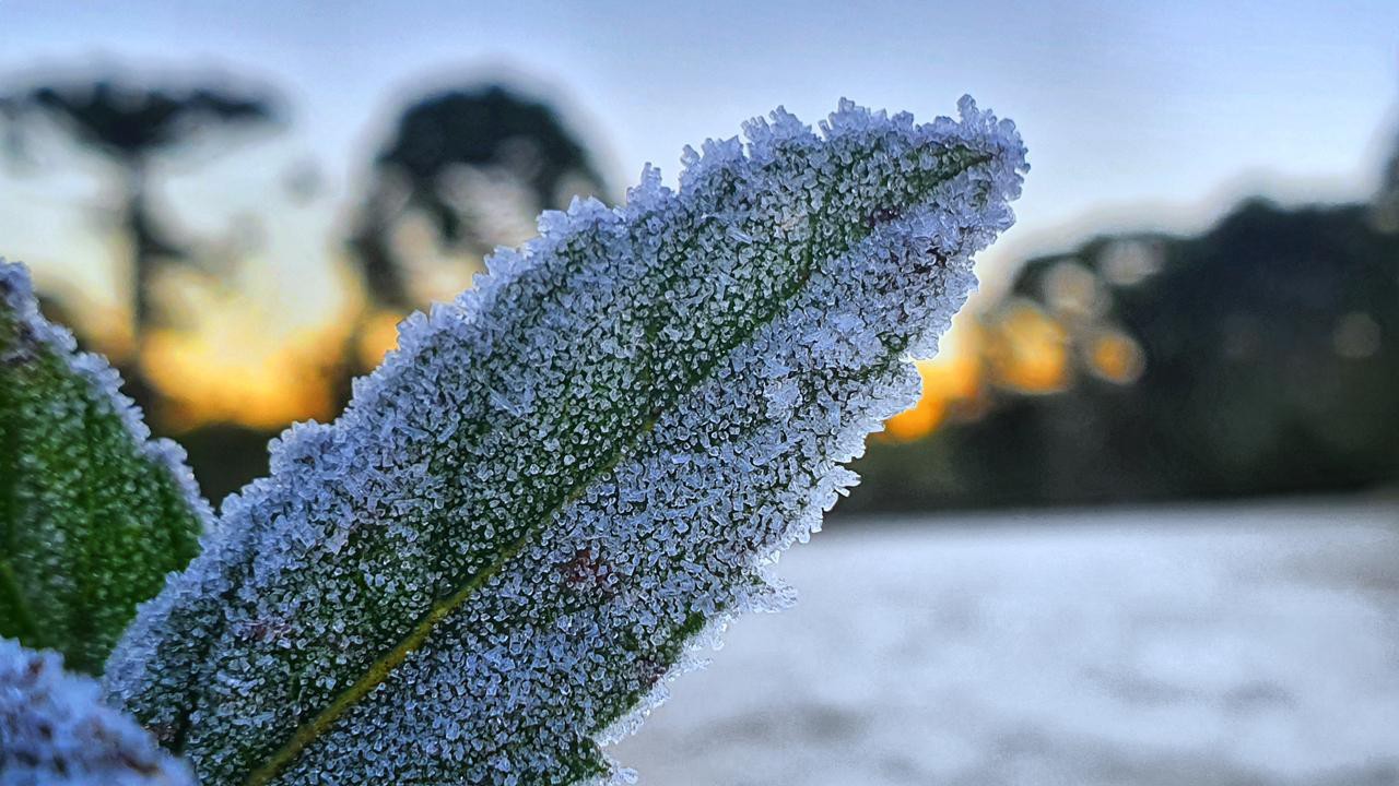 Brasil terá frio nos próximos dias e até neve