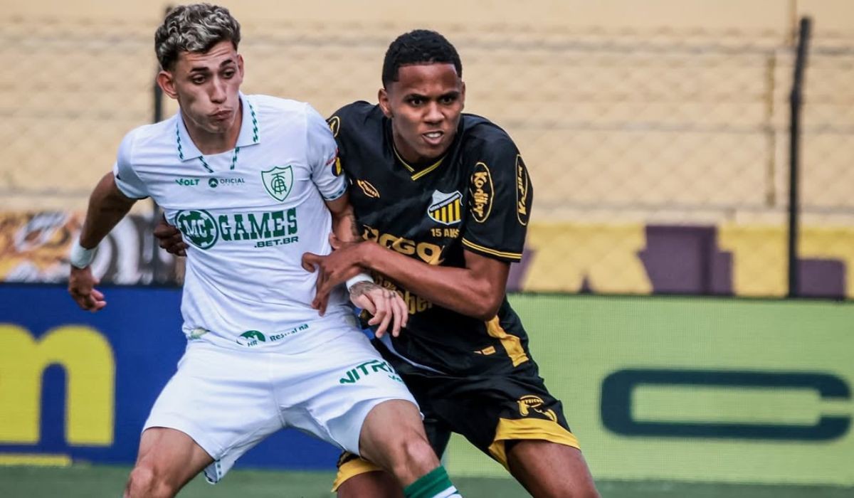Com a vitória, o Novorizontino está a 3 pontos da ponta da tabela do campeonato 