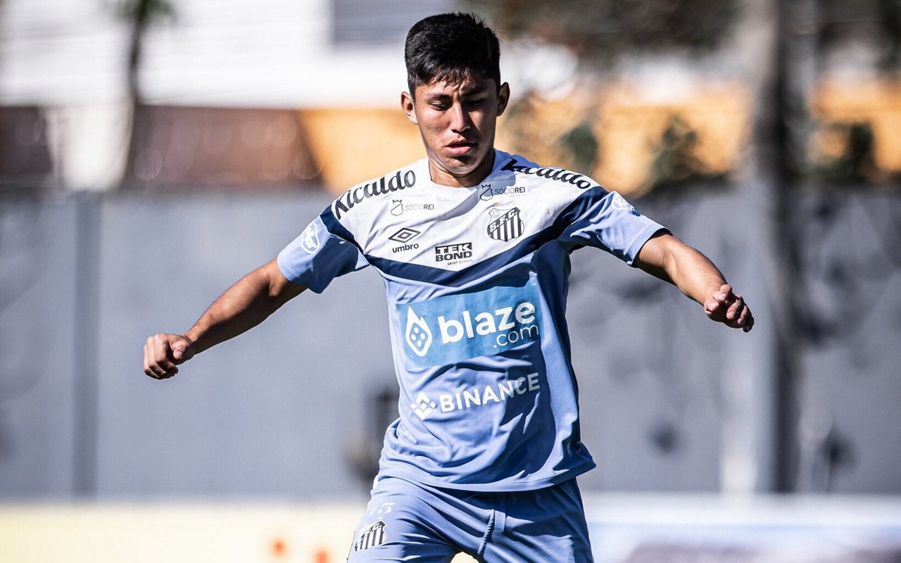 Foto: Raul Baretta/ Santos FC