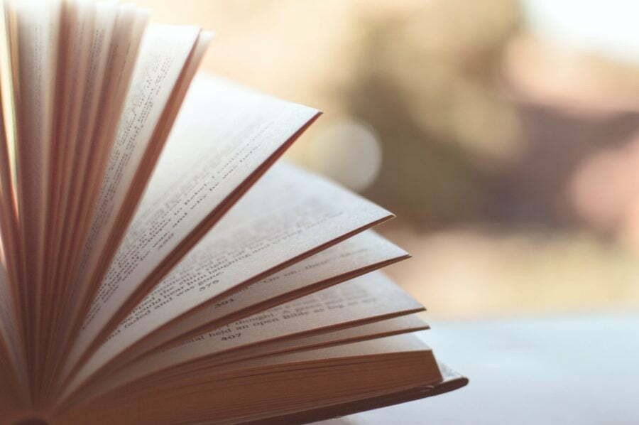 Apresentação do livro: Sal da terra