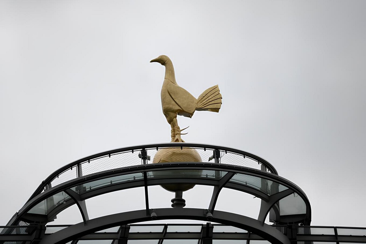 Galo está no alto do estádio do Tottenham