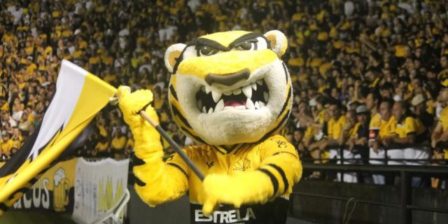 Mascote do Criciúma provocou o Galo após a vitória, em Santa Catarina