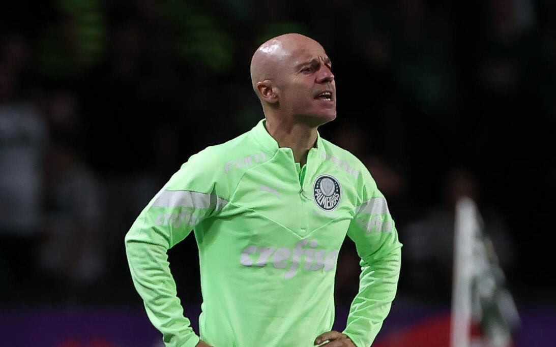Vitor Castanheira, auxiliar do Palmeiras (Foto: Cesar Greco/Palmeiras/by Canon)