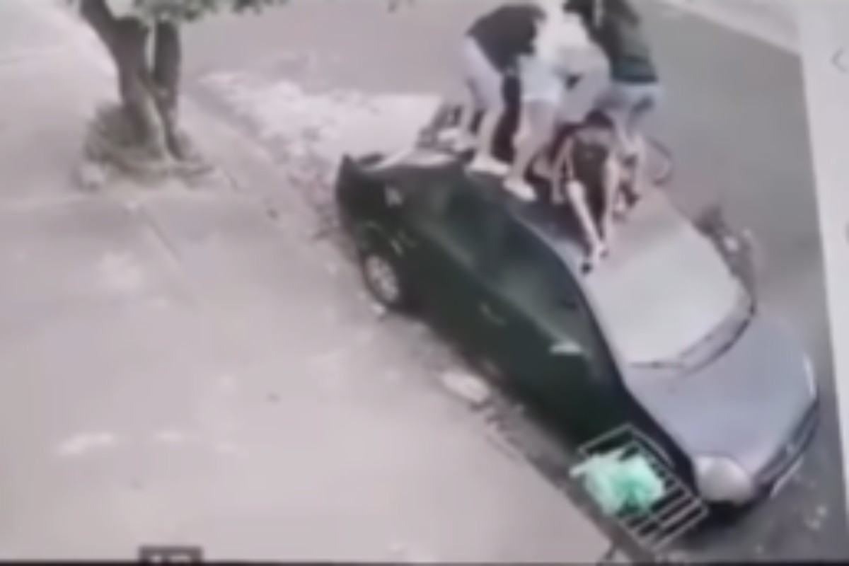 O cão fugiu de uma residência e avançou contra os jovens que estavam na rua