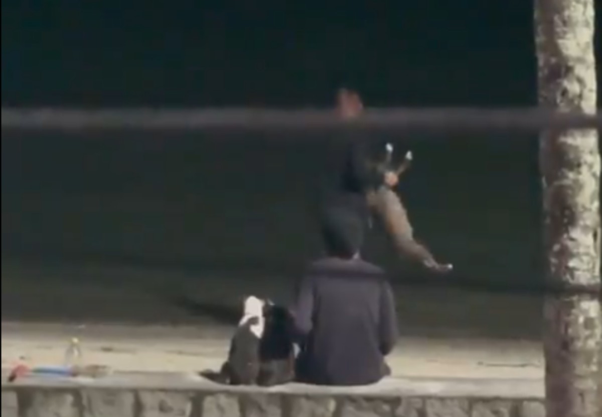 Mulher foi vista jogando animal no mar no último domingo (20/04)