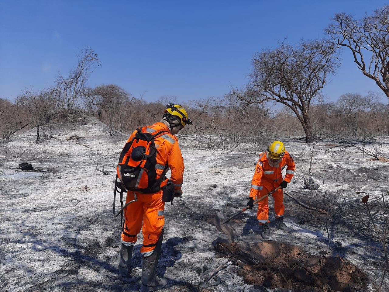 MG: bombeiros atendem a 1129 chamadas por incêndios em uma semana