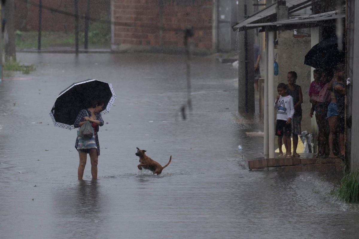 Uma mulher caminha por uma rua parcialmente alagada enquanto um cachorro se aproxima dela no bairro Pilar, na cidade de Duque de Caxias