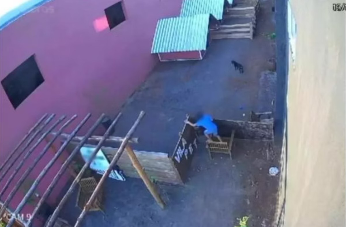 Ação do menino de 9 anos foi flagrada pelas câmeras de segurança do local