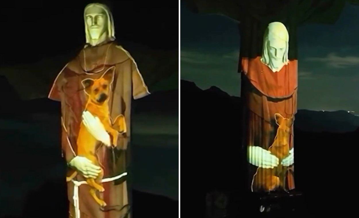 De acordo com o Santuário Cristo Redentor, o objetivo da ação é sensibilizar as pessoas sobre a importância de se adotar e encontrar um local seguro para os pets resgatados
