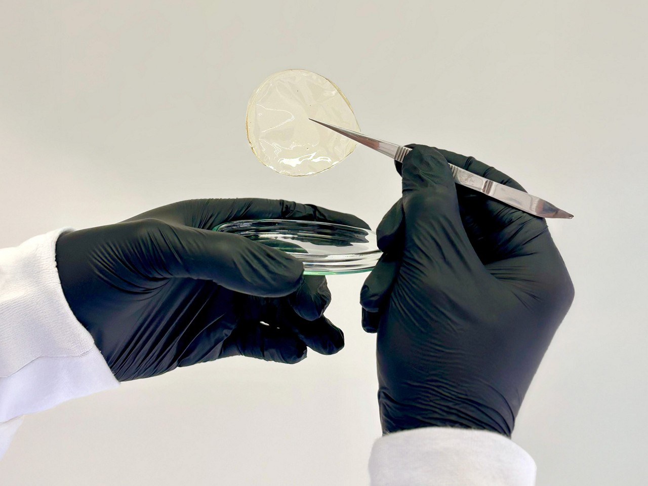 Curativo biodegradável será patenteado pela UFV
