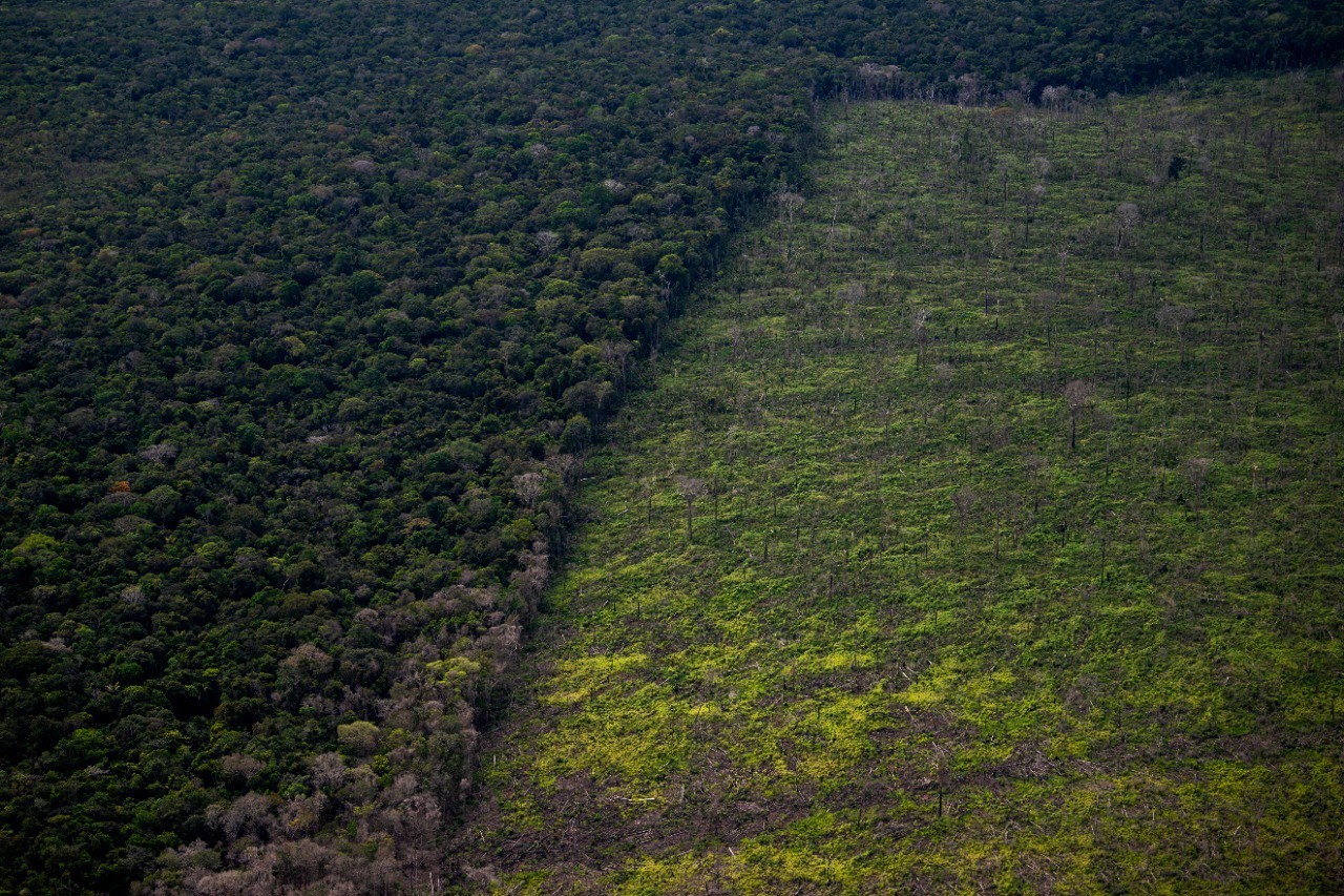 De agosto de 2021 até julho de 2022, foram derrubados 8.590,33 km² do bioma da Amazônia
