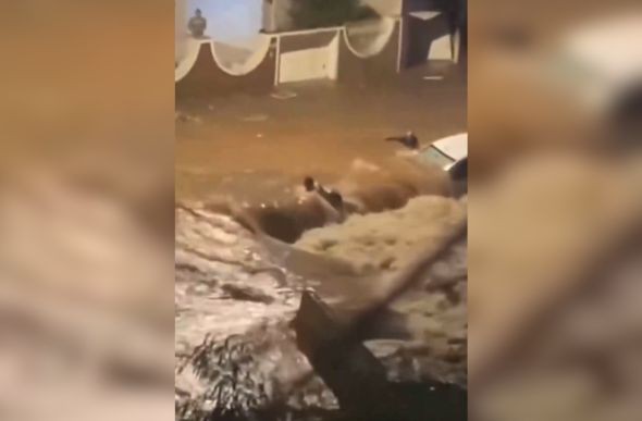 Imagens registraram pessoa ser arrastada por enxurrada em São Paulo