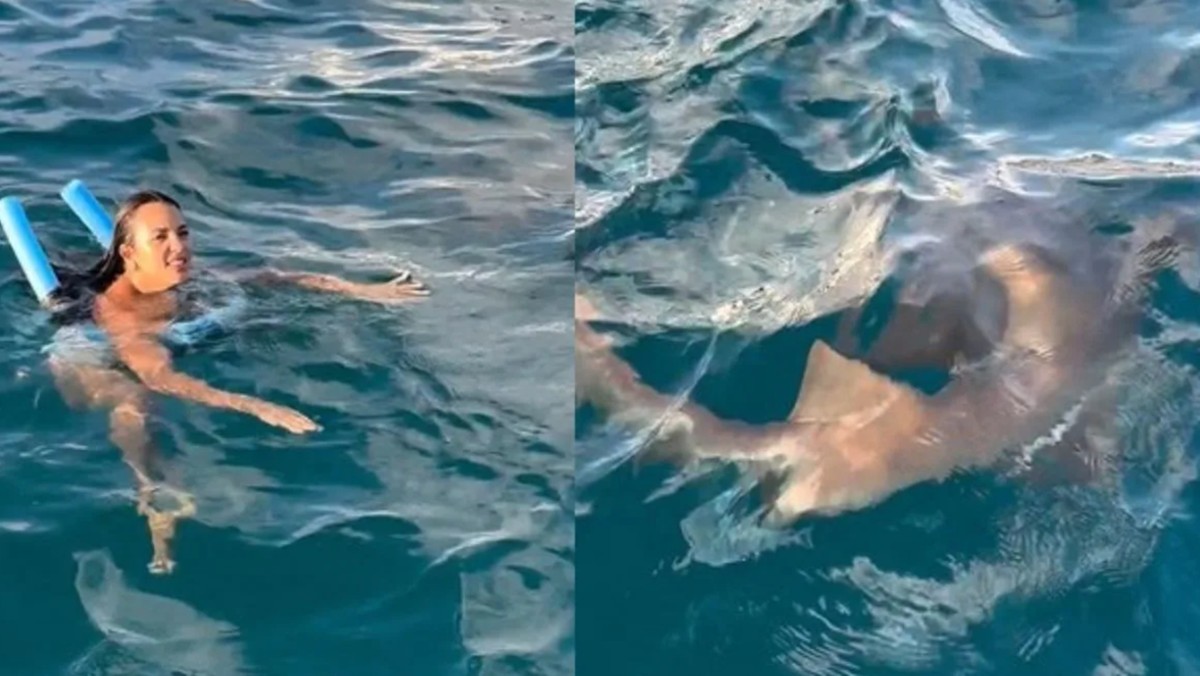 Turista recebeu a "visita" de tubarão durante mergulho 