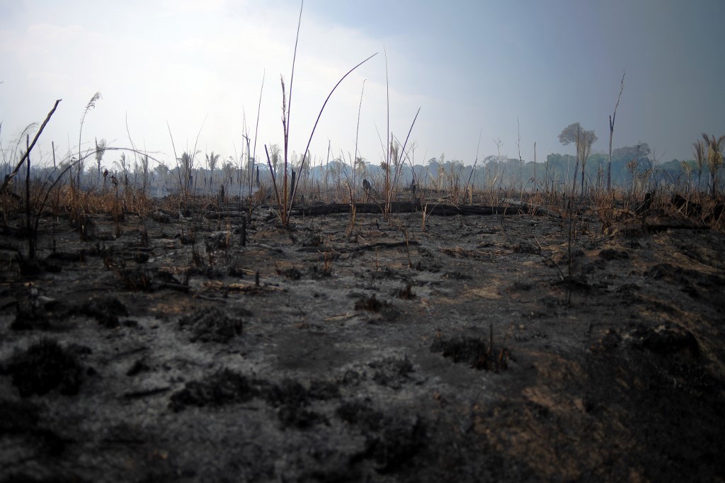 Sul da Amazônia é uma das áreas consideradas no estudo sobre efeitos do desmatamento sobre a mortalidade