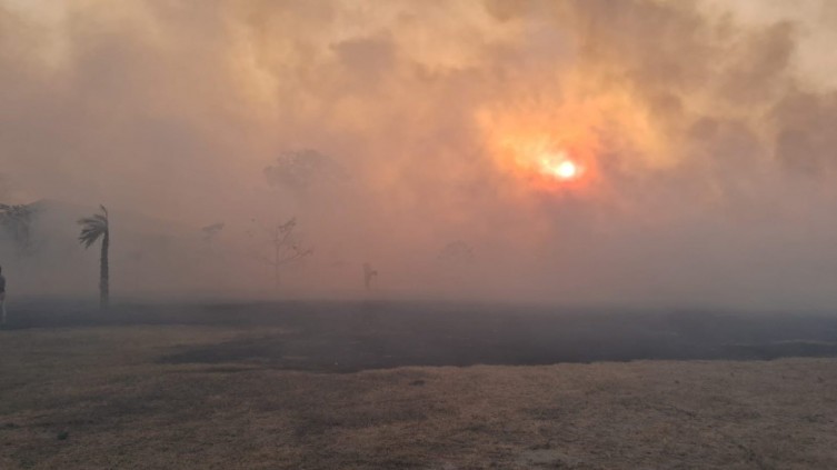 Fogos se alastram por toda a região e desafiam bombeiros 