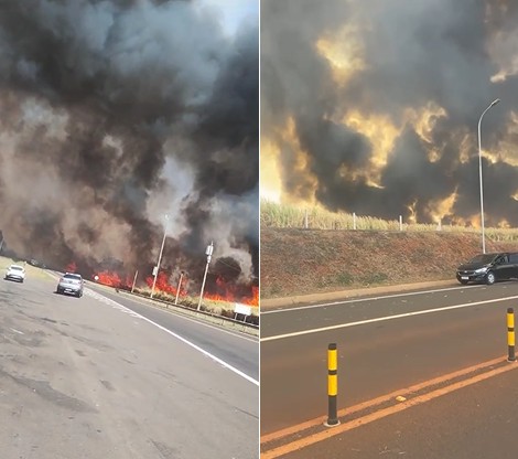 Incêndios criminosos preocupam autoridades 