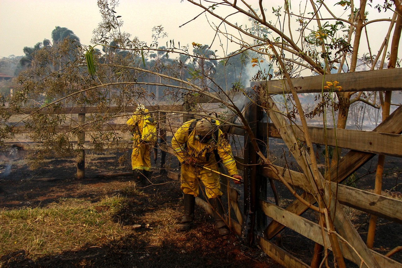 Incêndio perto de rodovia na cidade de São Carlos, SP, no sábado (24)