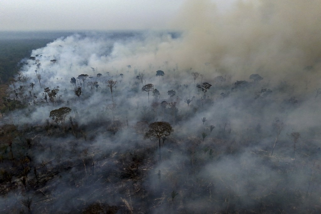 A apuração aponta que a maioria dos incêndios são intencionais: a queima da vegetação é usada para conversão de áreas recém-desmatadas em pasto, bem como para manutenção de pastagens já estabelecidas