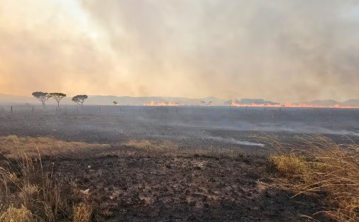 Combate ao fogo é intensificado com apoio de aviões do ICMBio e brigadistas