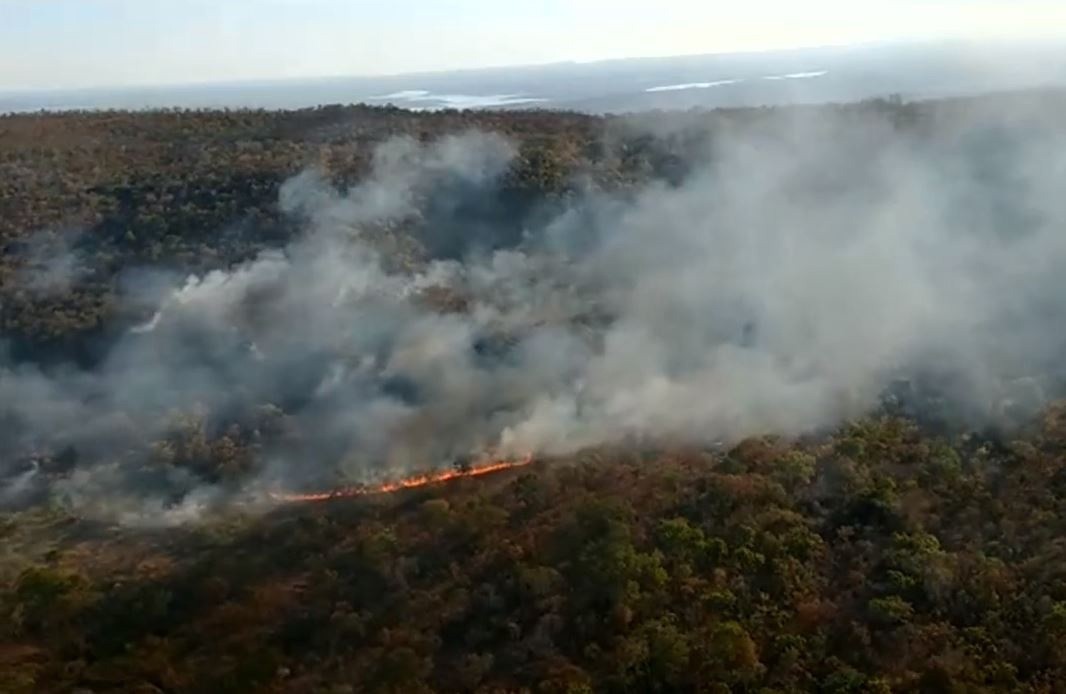 Amazônia queimada