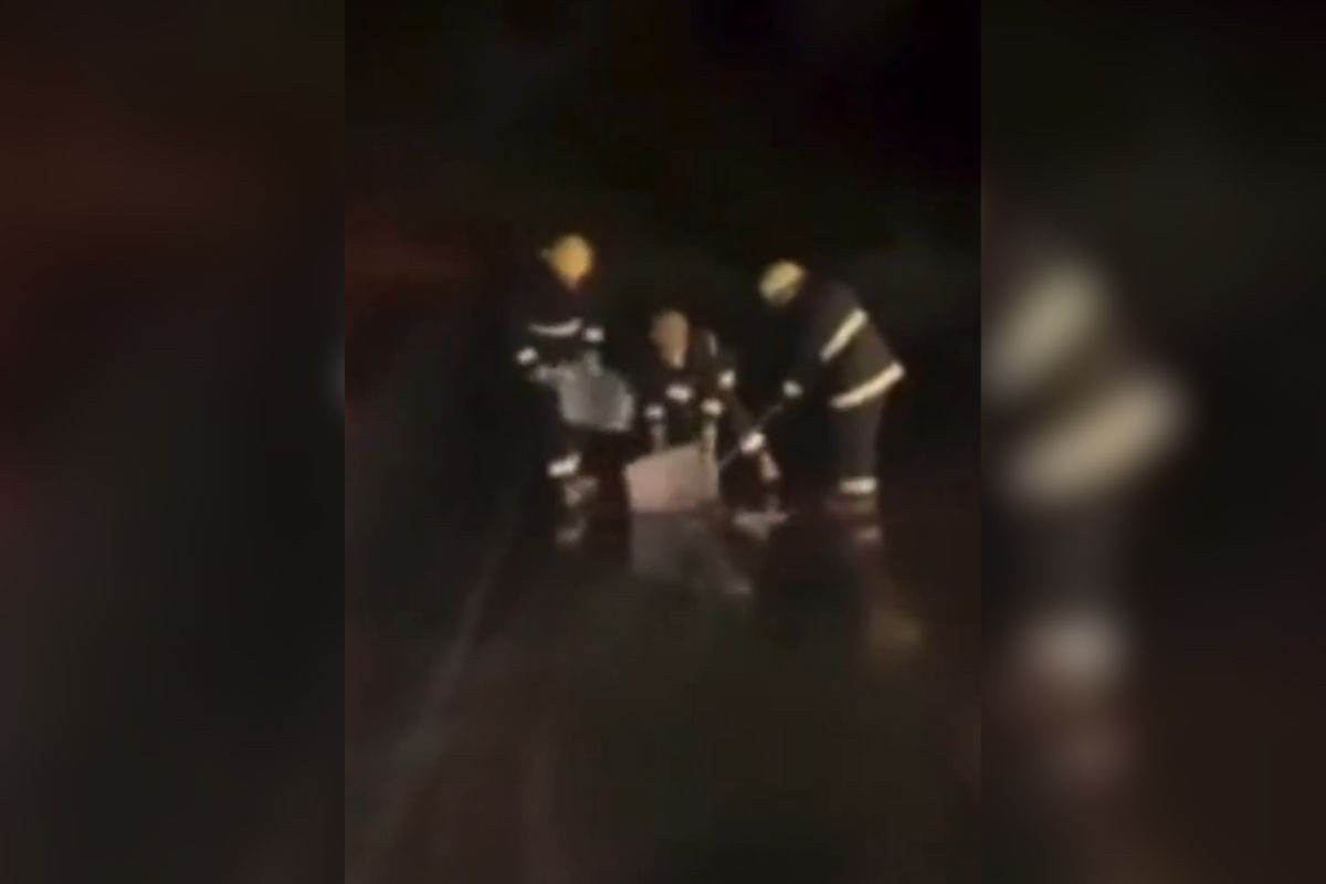 Bombeiros resgatam cobra em aeroporto no Mato Grosso