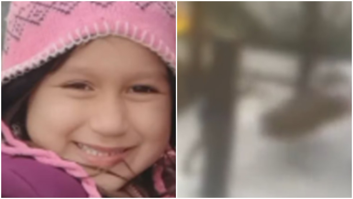 Bombeiros chegaram a encontrar a menina ainda consciente no local