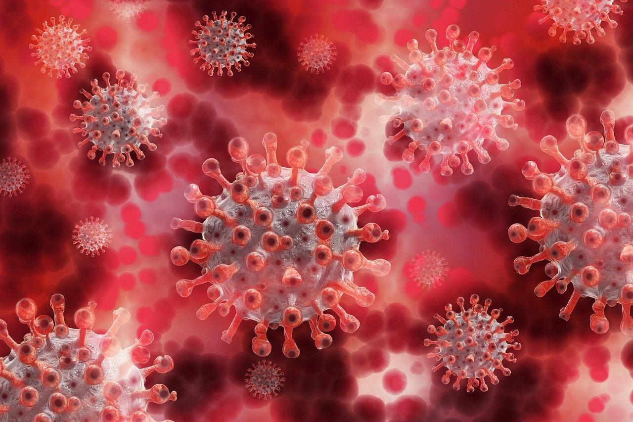 Quanto mais o vírus é transmitido, maiores as chances de ele evoluir para uma nova variante