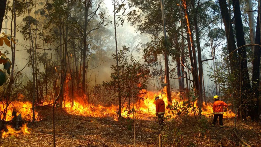 Grande incêndios afetaram todos os biomas do Brasil em 2024