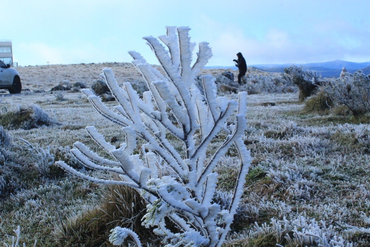 Imagem da primeira neve do ano em Urupema, em Santa Catarina