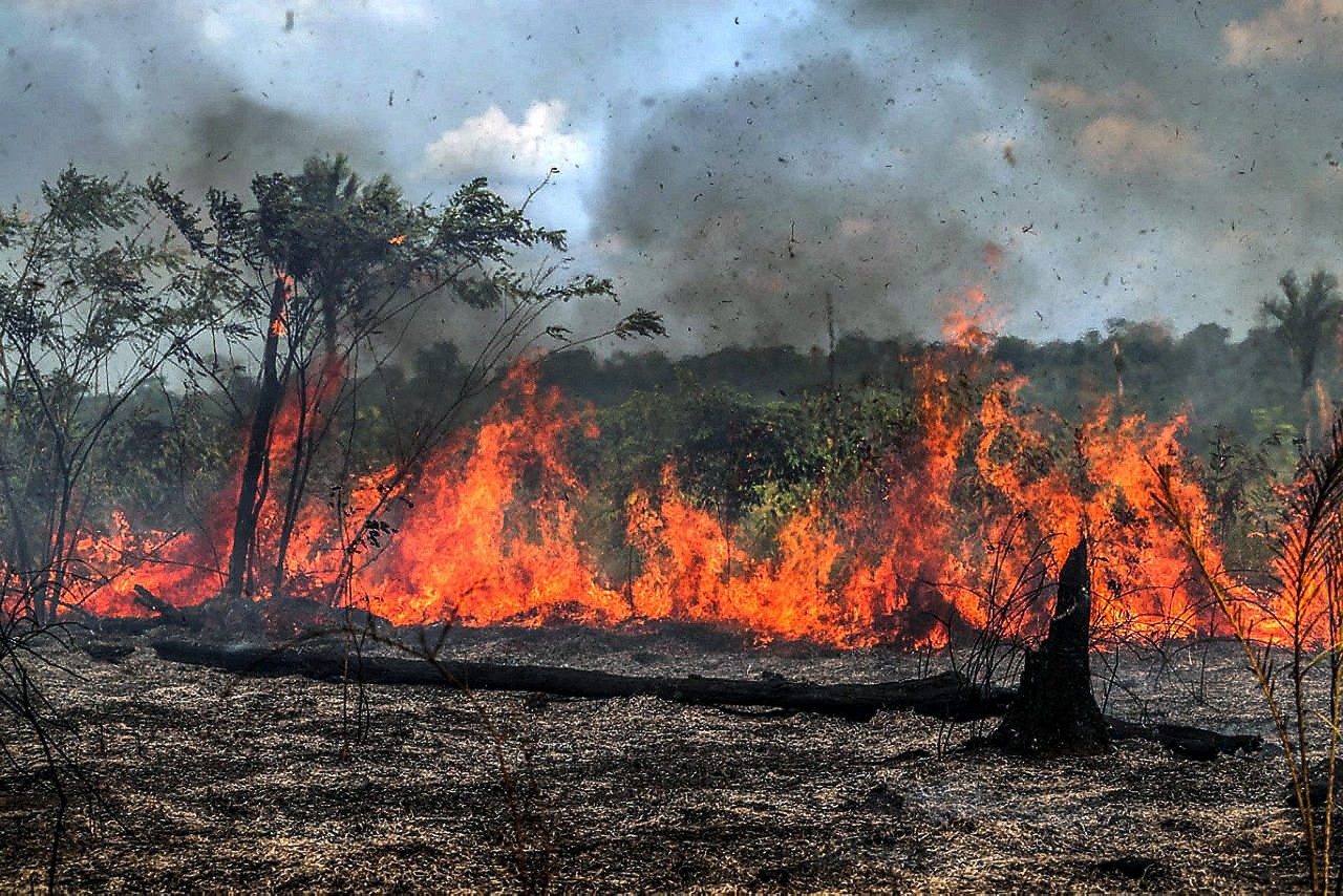 Brasil registrou queda de 65,8% nas áreas queimadas de janeiro a junho de 2025 em relação ao primeiro semestre de 2024., segundo dados do Ministério do Meio Ambiente e Mudança do Clima