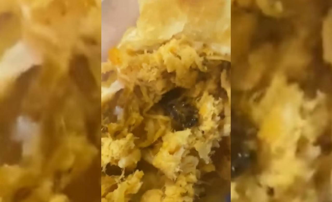 “Eu não acredito, eu vou vomitar”, disse a jovem ao ver o inseto