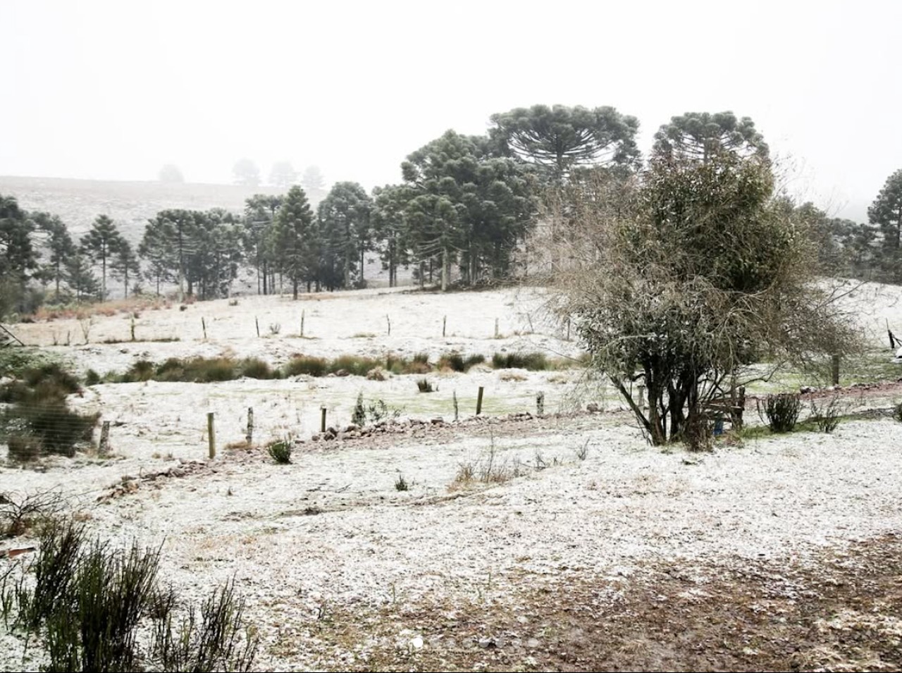 Neve em São José dos Ausentes (RS)