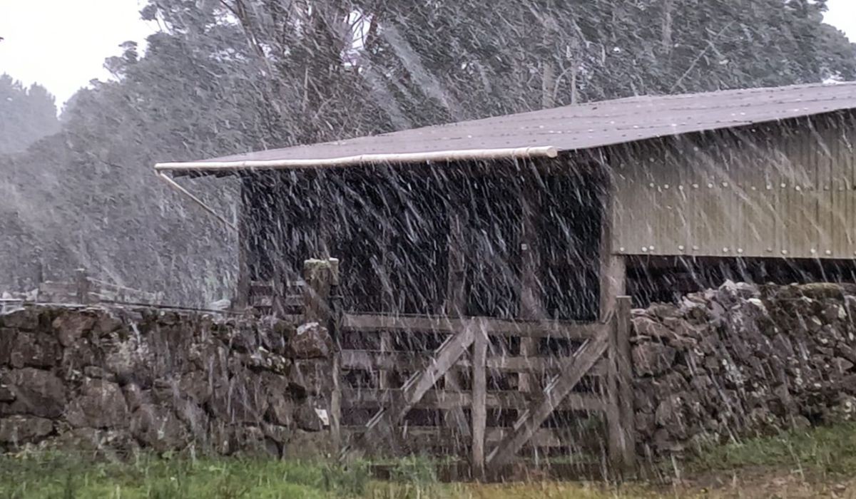 Neve em São José dos Ausentes nesta manhã desta quinta-feira (29)
