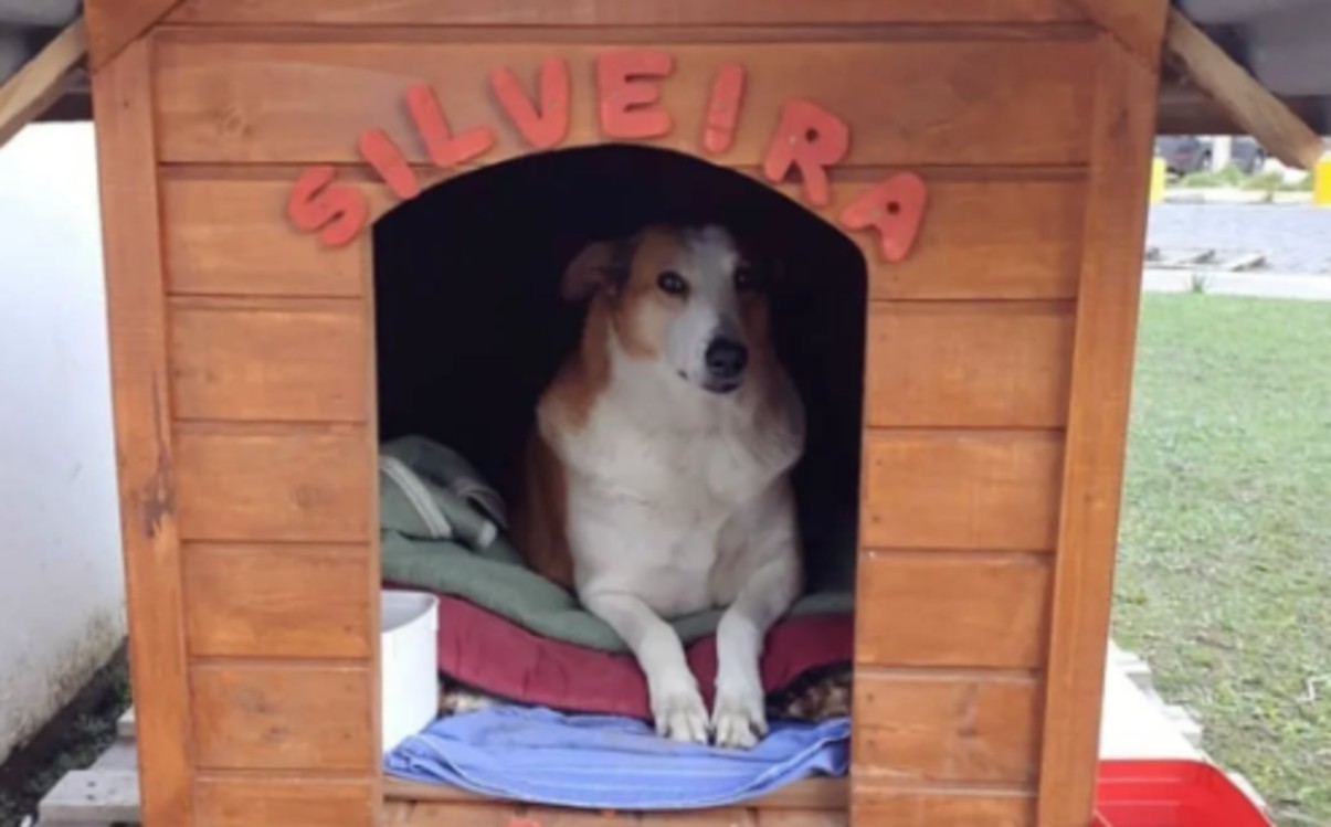 Silveira virou mascote dos alunos da UFSM