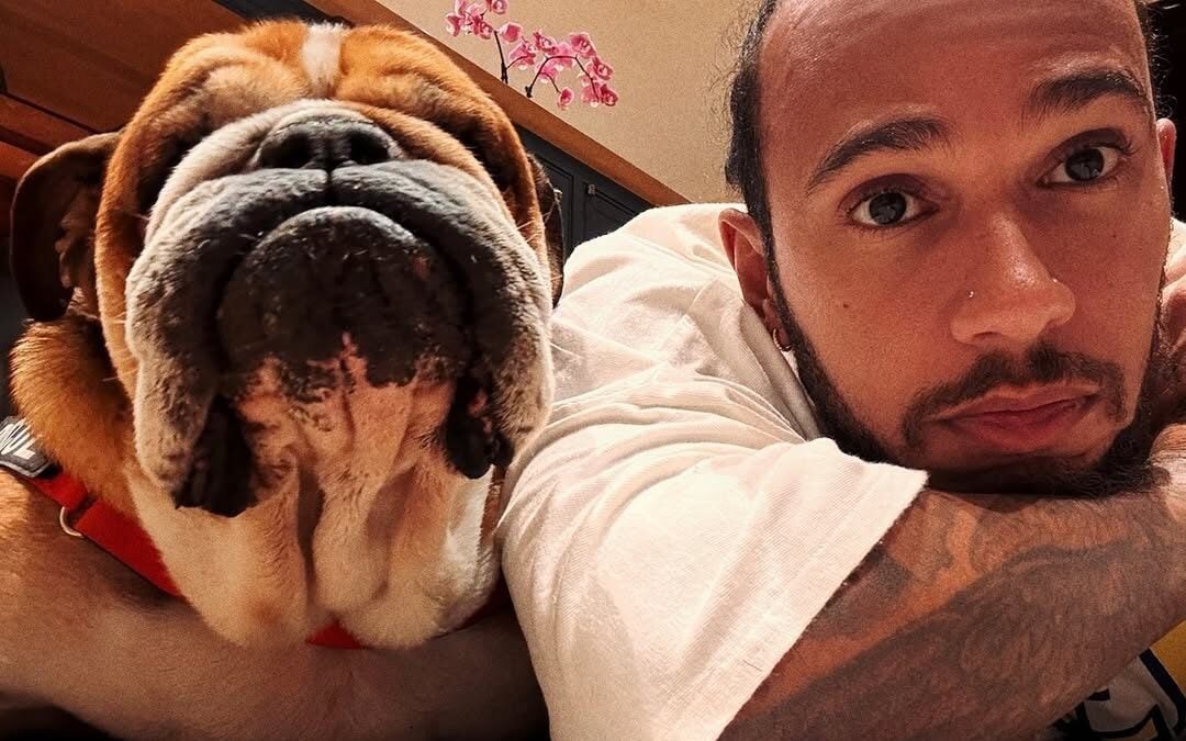 Lewis Hamilton e Roscoe (Foto: Reprodução/Instagram)