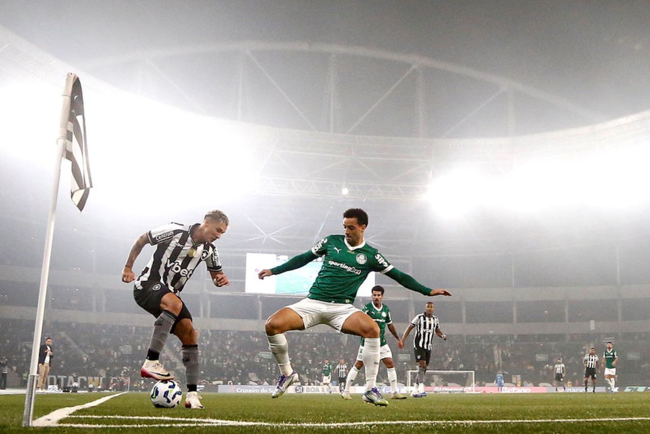 Palmeiras vence o Botafogo e sobe na tabela