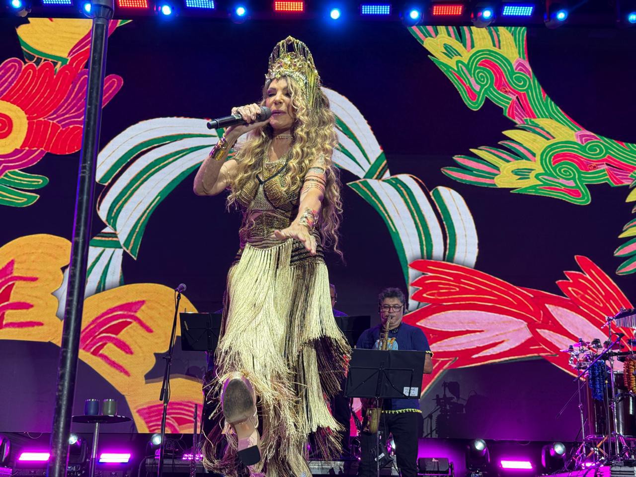 Elba Ramalho é uma das homenageadas no Carnaval de Recife