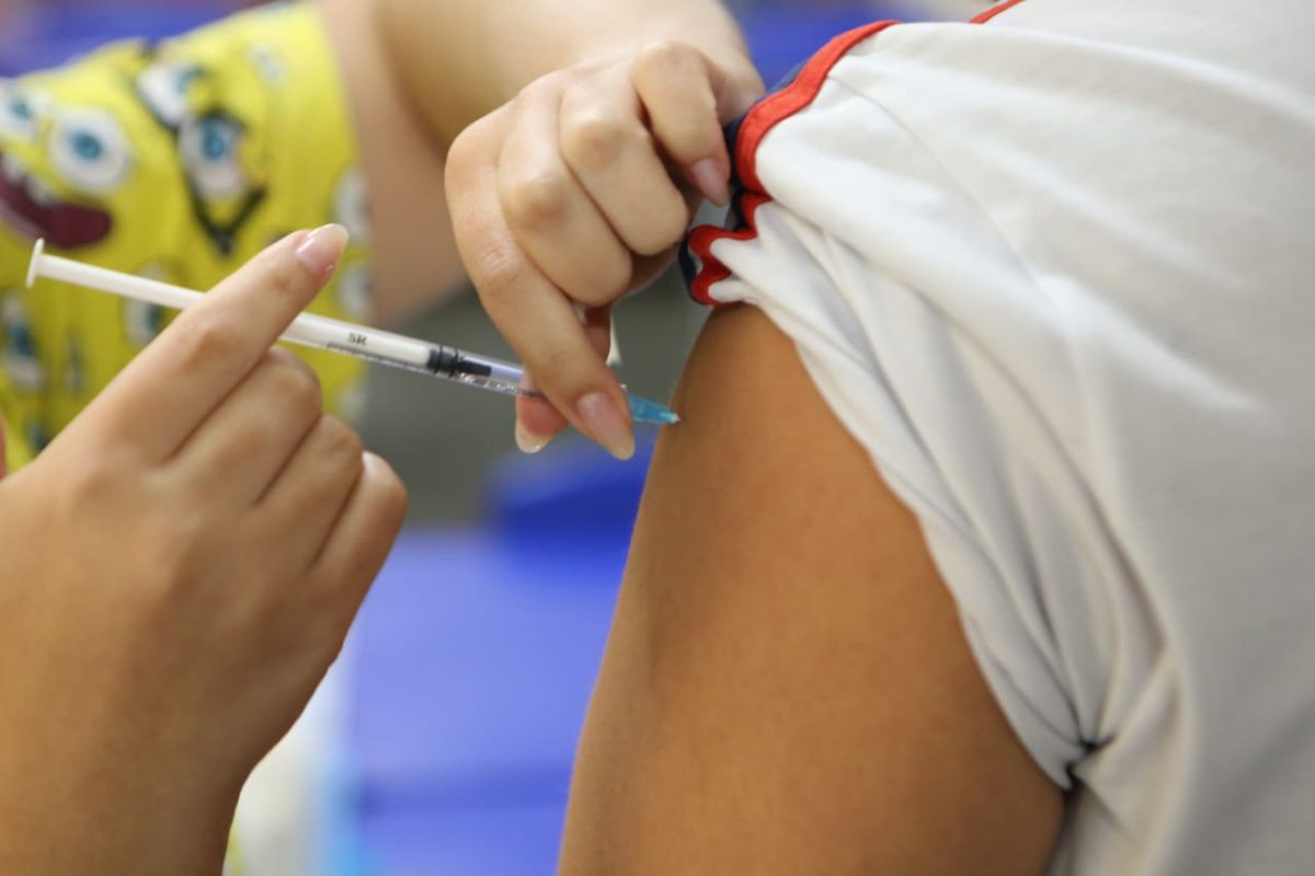 Vacina é fundamental para reduzir as complicações, internações e mortes decorrentes das infecções pelo vírus da influenza
