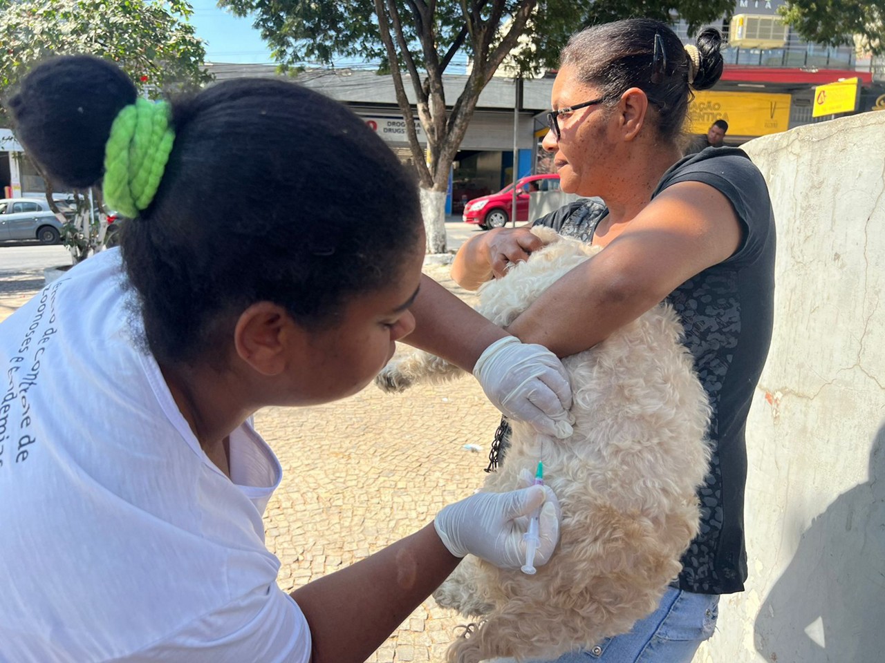 Meta do município é imunizar 70 mil animais. 