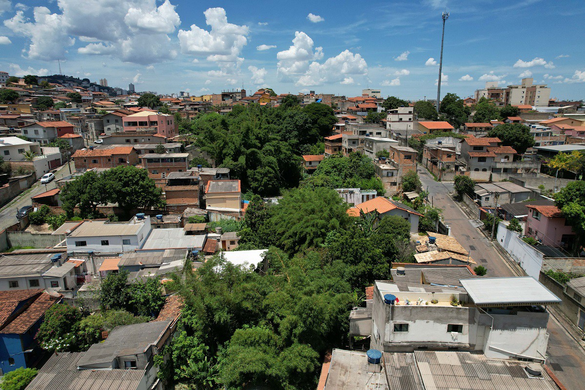 Imagem mostra "oásis" verde no bairro Paraíso, região Leste de BH, após trabalho ambiental de morador
